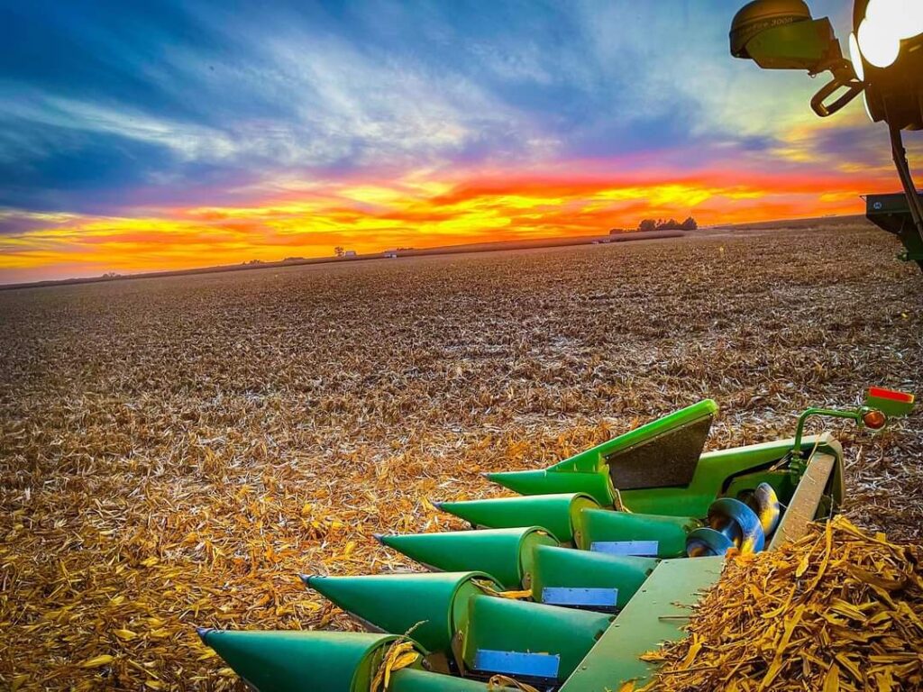 crop production at sunset