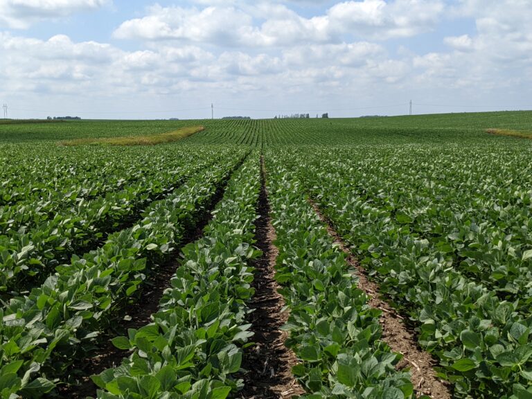 Cedarbank Farms, LLC - Farm for Sale - Kossuth County, Iowa