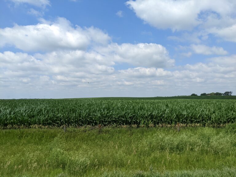 Cedarbank Farms, LLC - Farm for Sale - Kossuth County, Iowa